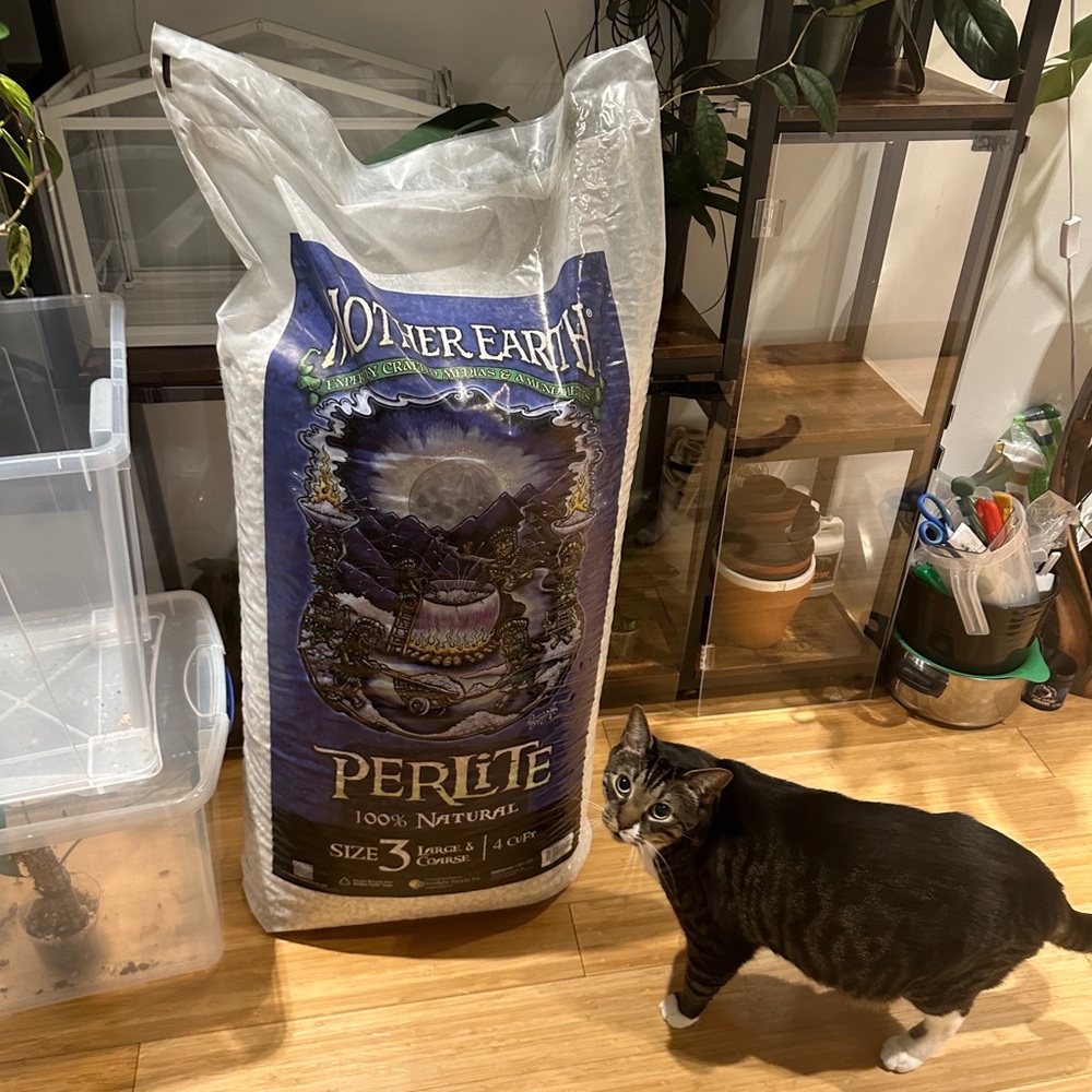 perlite